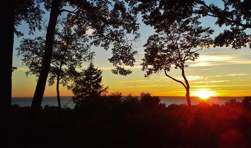 Pet-Friendly One Crow Cottage In Harbor Springs! Exteriör bild